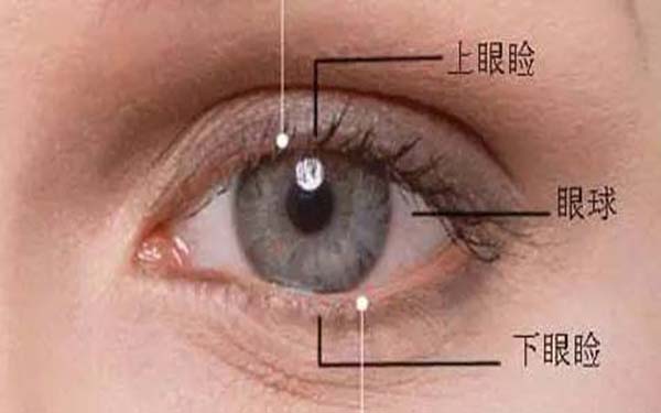 开3mm内眼角回缩多少
