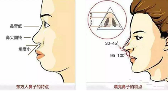 ǻ֢