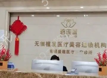 国内十大植发正规医院排名