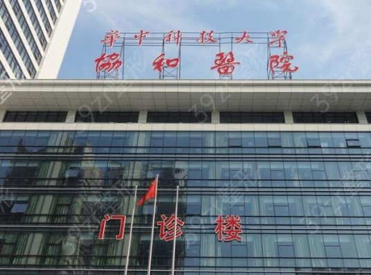 武汉有名的整形医院有哪些