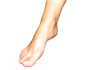 Ǯ