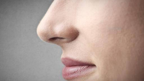 鼻子好看的标准是什么